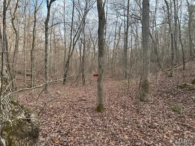 $39,500 | 0 Private Road 9516, Fredericktown, MO 63645