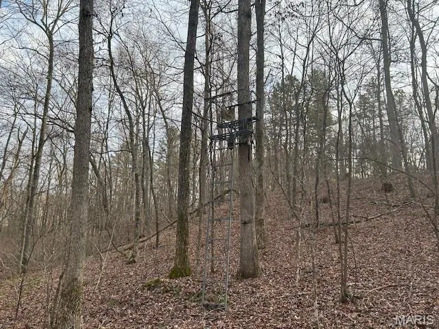 $39,500 | 0 Private Road 9516, Fredericktown, MO 63645