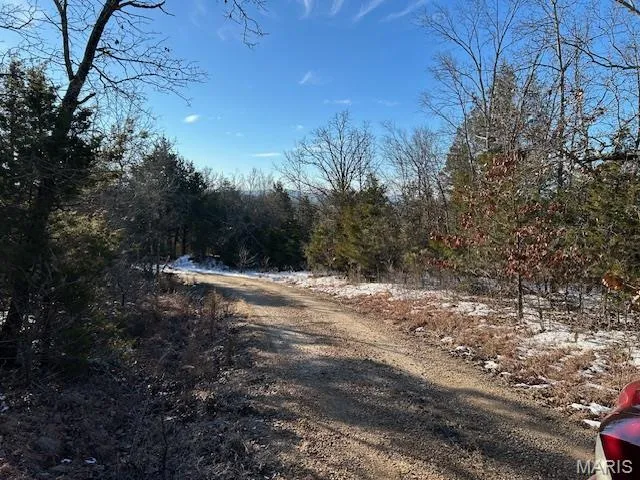 $39,500 | 0 Private Road 9516, Fredericktown, MO 63645