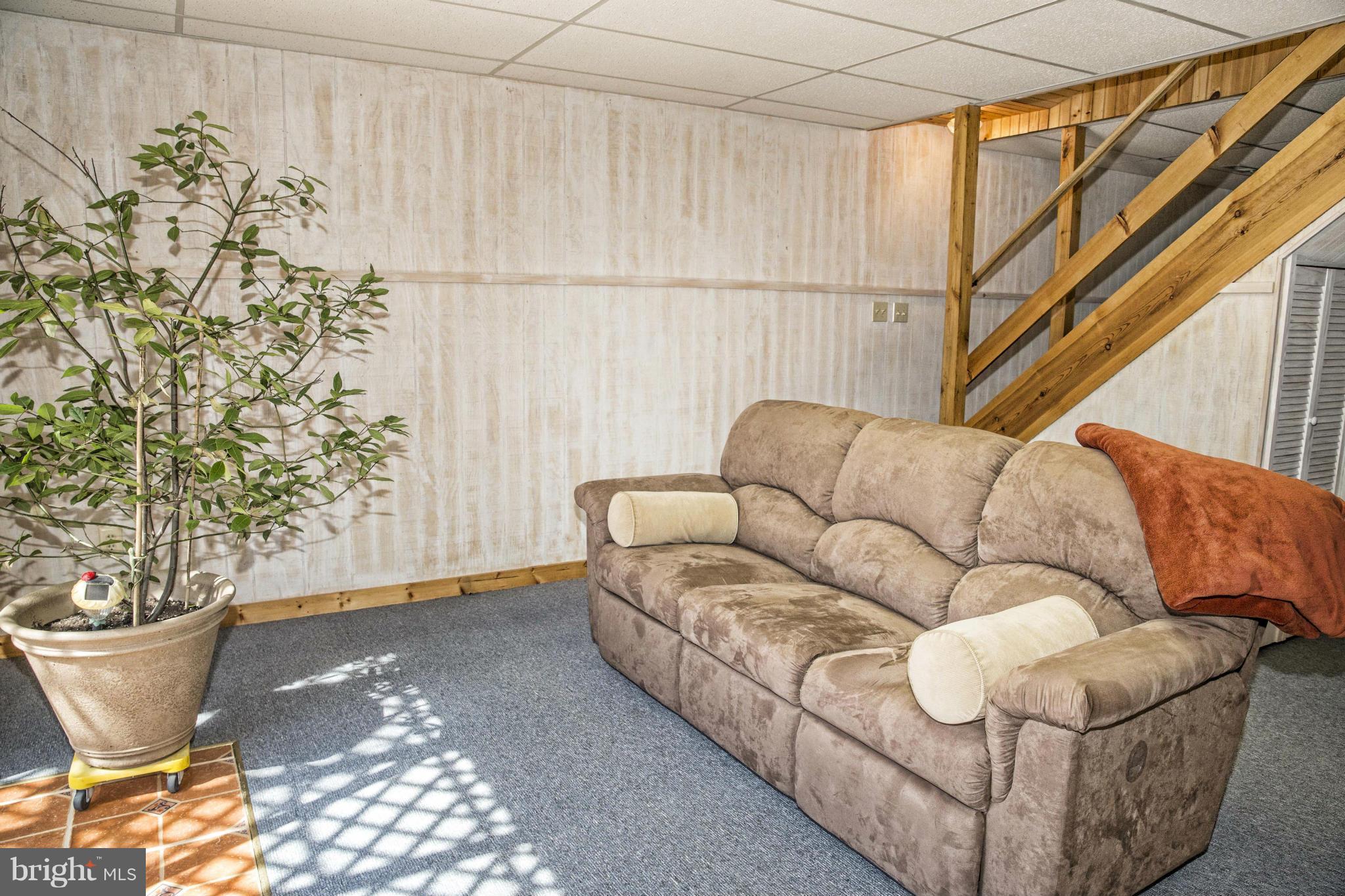 4474 Scotts Road Marshall, VA 20115 - Photo 20 of 30 Basement