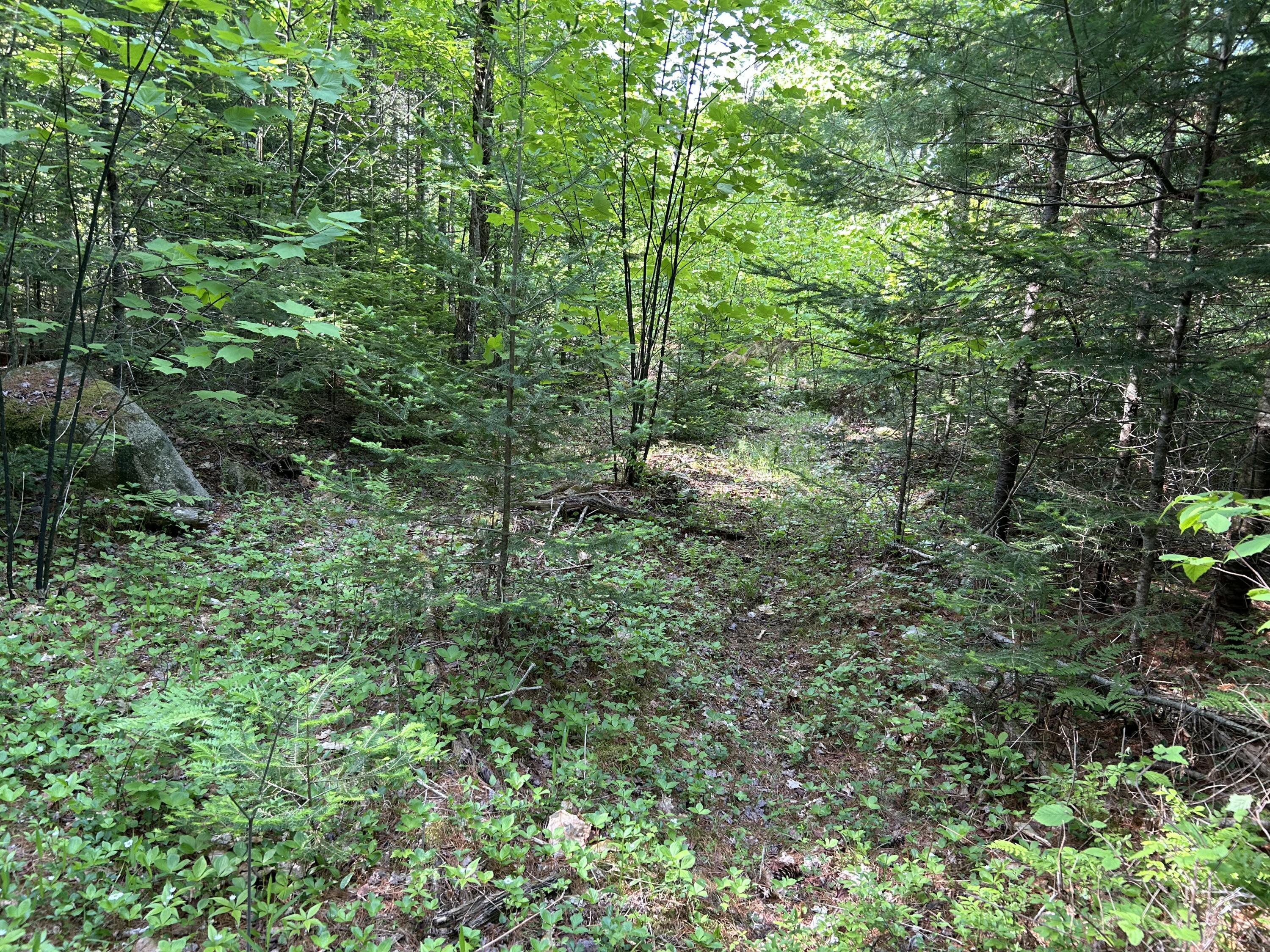 M5-l13 Clark Road Prospect, ME 04981 - Photo 15 of 33 IMG_8799