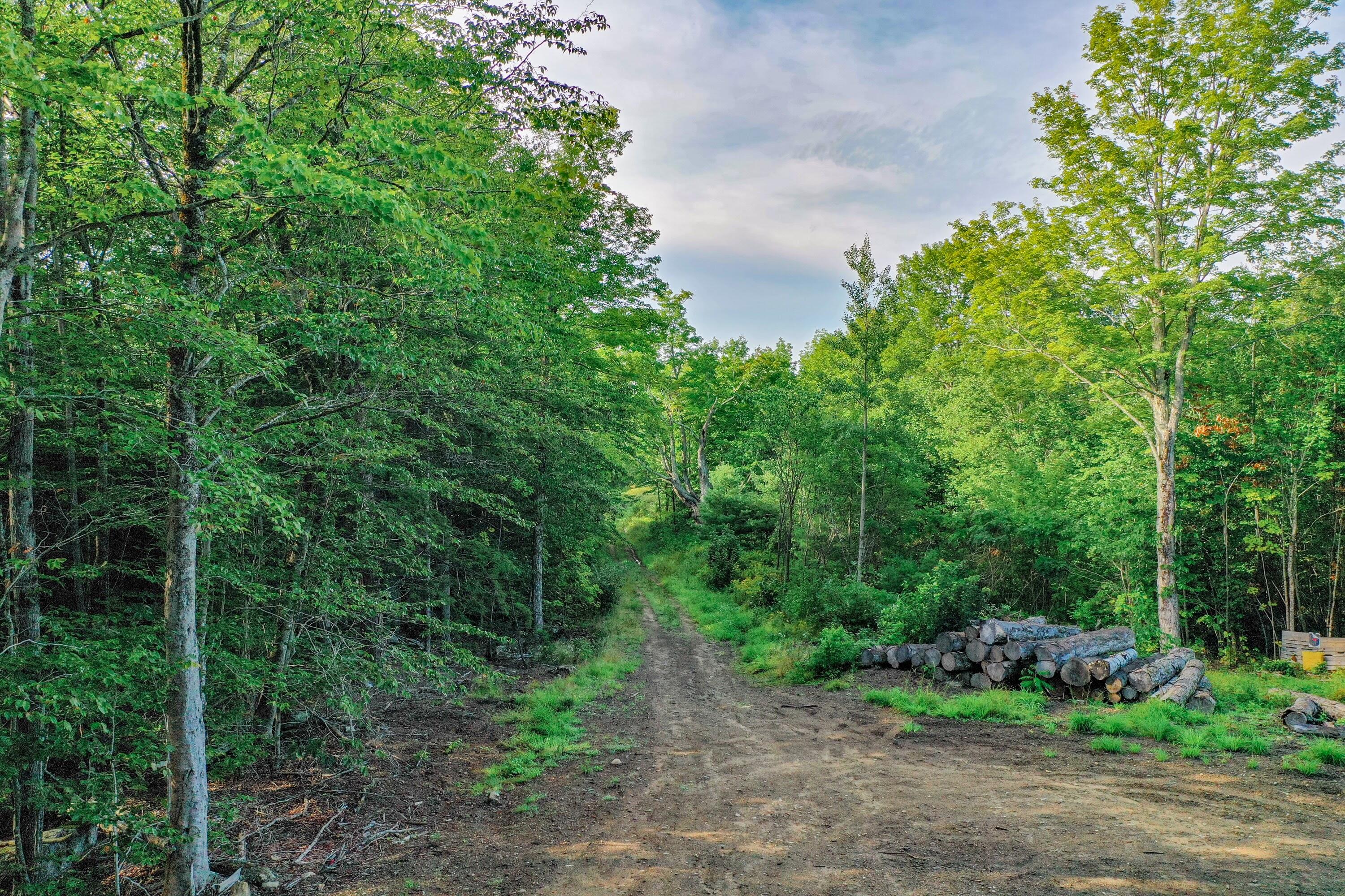 Lot Tbd Dingley Road Bowdoinham, ME 04008 - Photo 1 of 24 Dingley Rd Lot 38_102
