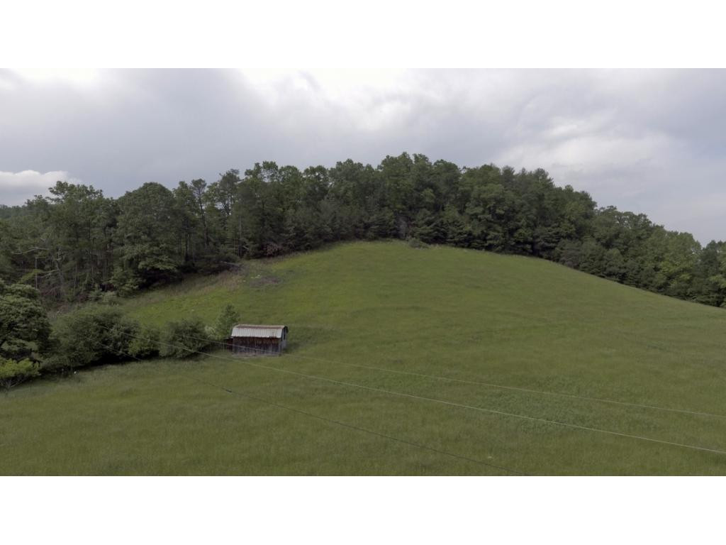 580 Whaley Town Road Butler, TN 37640 - Photo 6 of 31 Photo 6