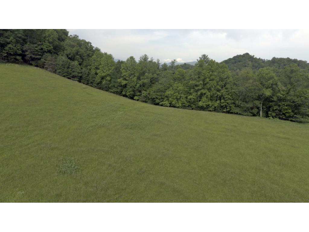 580 Whaley Town Road Butler, TN 37640 - Photo 9 of 31 Photo 9
