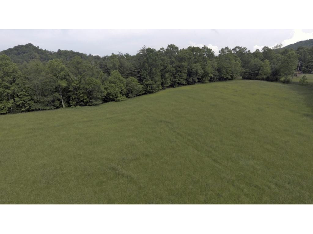 580 Whaley Town Road Butler, TN 37640 - Photo 10 of 31 Photo 10