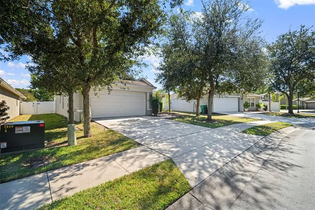 a view of street with large trees