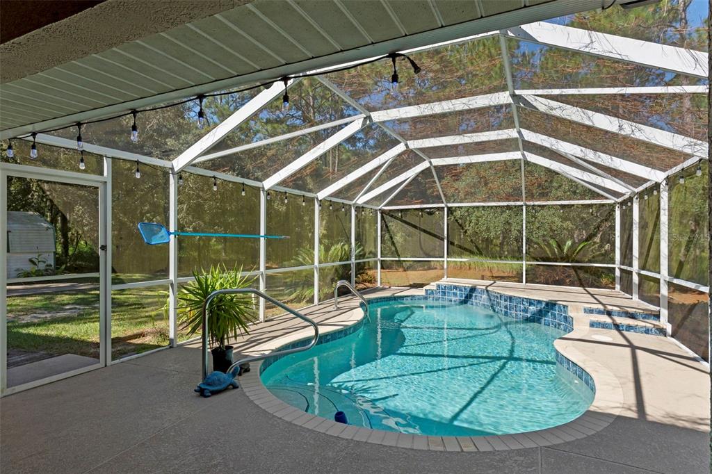 3327 West Brazilnut Road Beverly Hills, FL 34465 - Photo 50 of 57