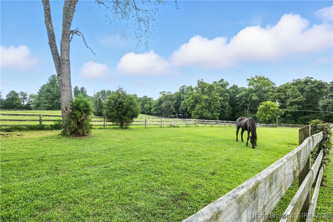 6618 Buttontown Road Greenville, IN 47124 - Photo 33 of 35 Pasture with Jessee the horse