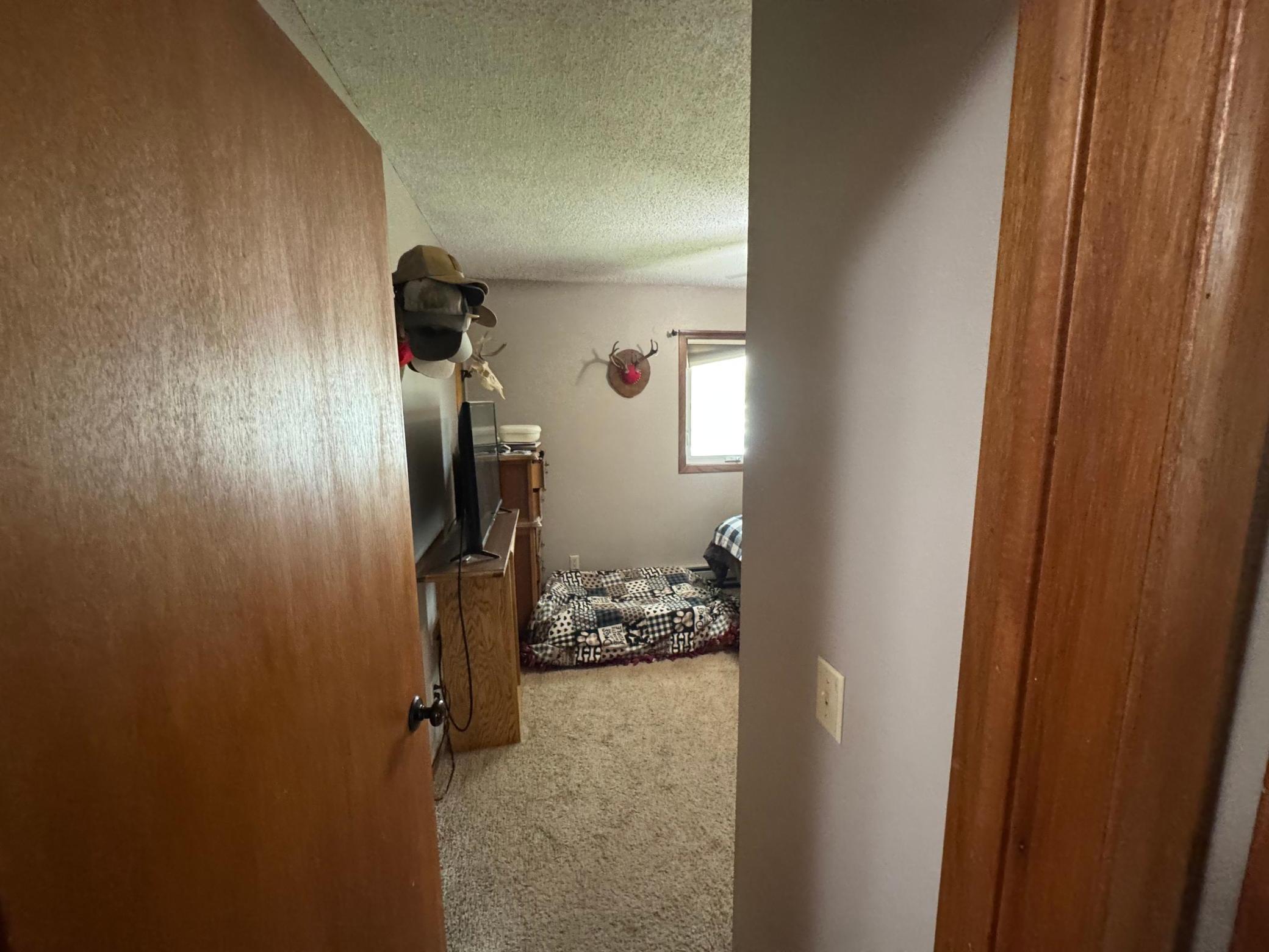 809 10th Street South Sauk Centre, MN 56378 - Photo 12 of 39