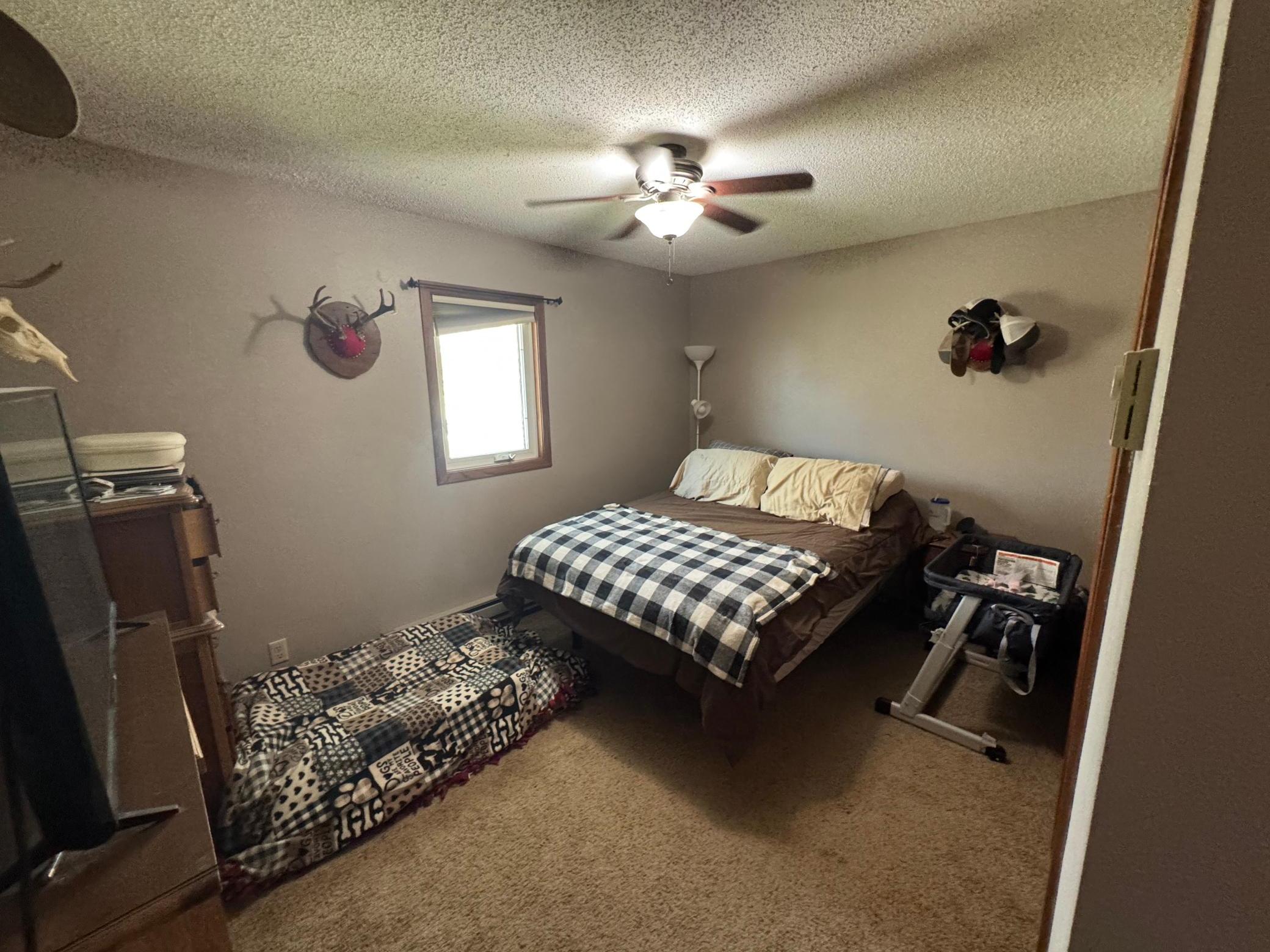 809 10th Street South Sauk Centre, MN 56378 - Photo 20 of 39