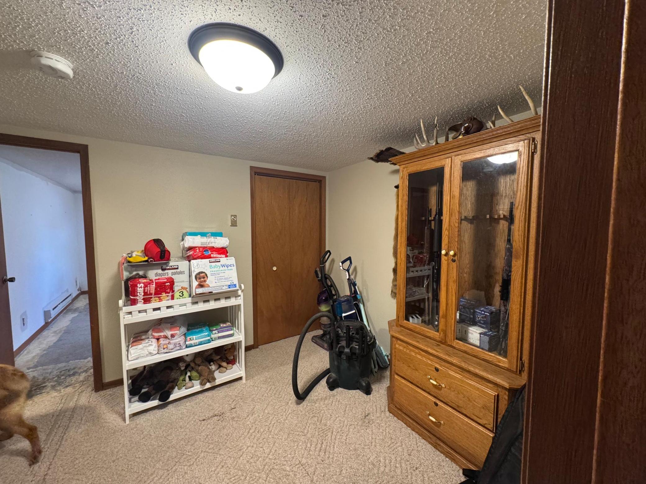 809 10th Street South Sauk Centre, MN 56378 - Photo 28 of 39