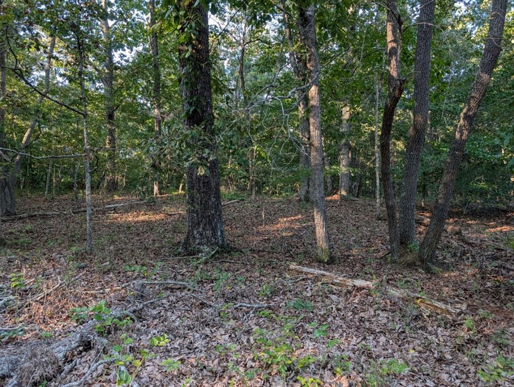 0 Jay Green Road Canton, GA 30115 - Photo 5 of 10 Gallery Image 5