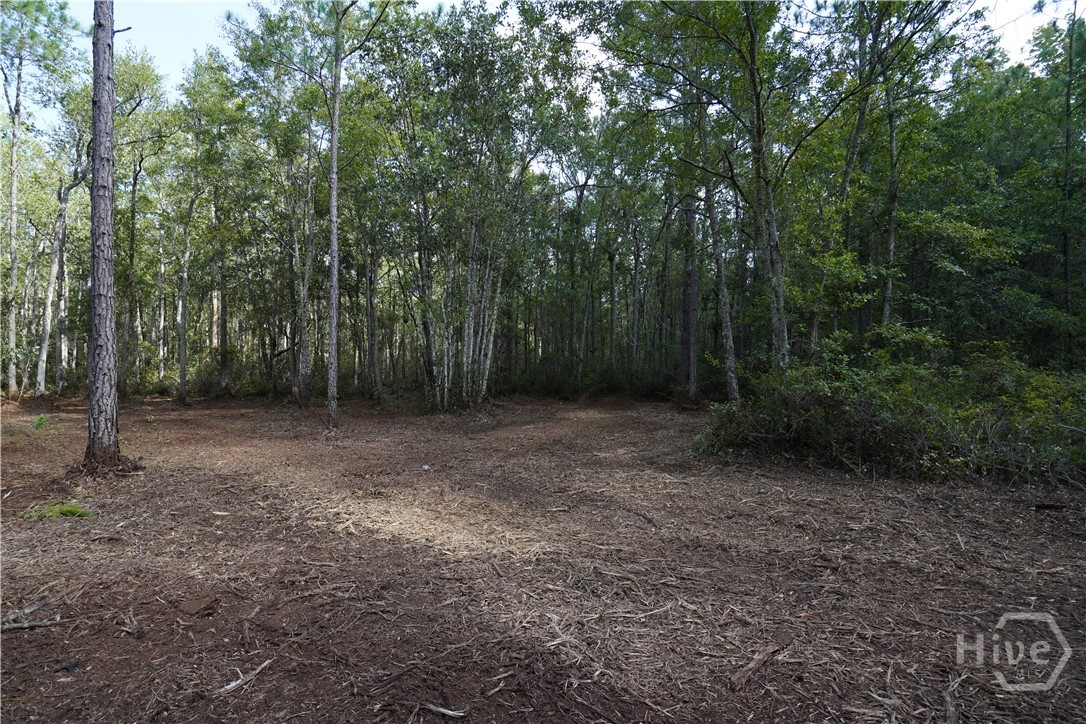 1 Williams Road Guyton, GA 31312 - Photo 3 of 7 Gallery Image 3