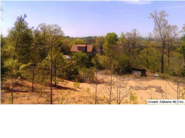 2221 Gurley Road Trafford, AL 35172 - Photo 12 of 13