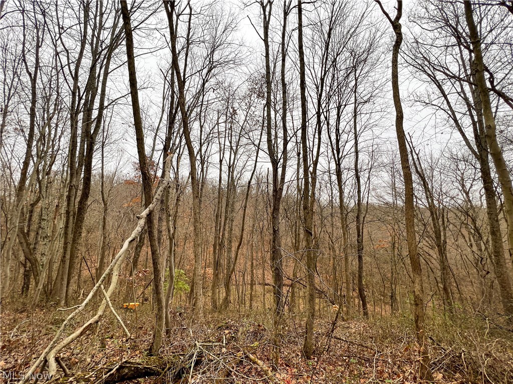 Briar Road Magnolia, OH 44643 - Photo 8 of 22
