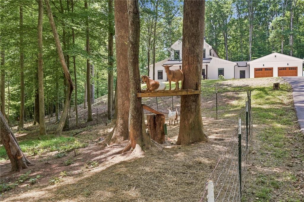 1684 Fairview Road Jasper, GA 30143 - Photo 5 of 46