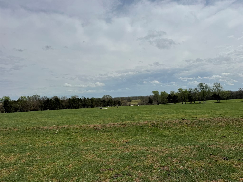 10191 Rally Hill Road Everton, AR 72633 - Photo 26 of 59 View of local wilderness featuring rural landscape
