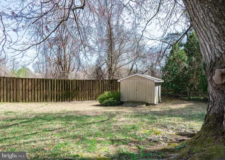 a view of a yard with large trees