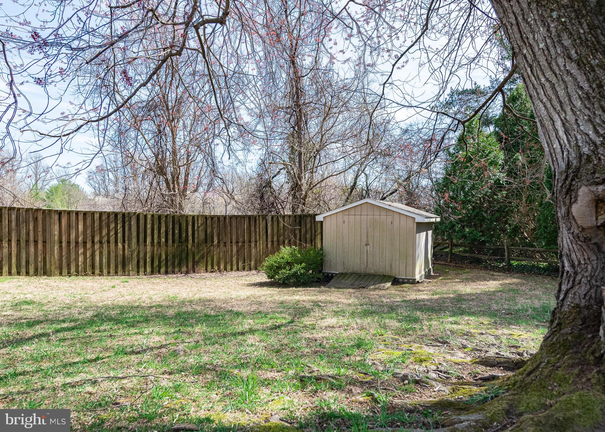 7029 Long View Road Columbia, MD 21044 - Photo 33 of 42 Shed