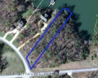 16 Stoney Pointe North Road Double Springs, AL 35553 - Photo 4 of 16 Gallery Image 4