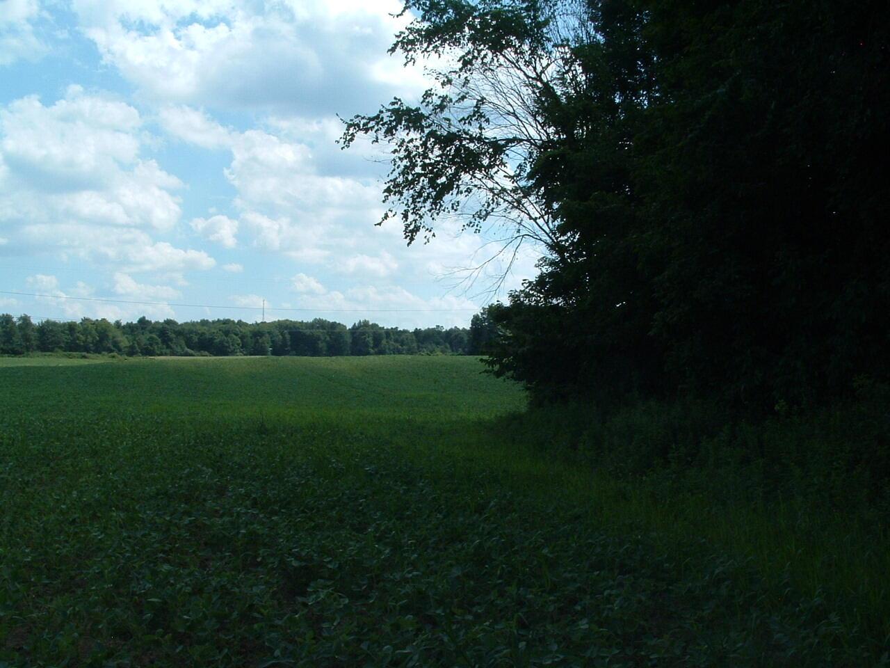 9311 Jug St Road Northwest Pataskala, OH 43062 - Photo 69 of 83 DSCF0051
