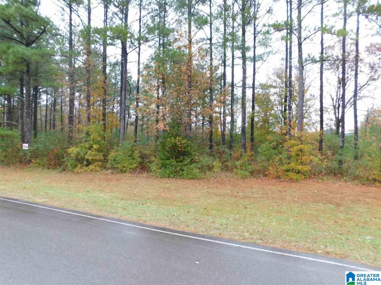 Montcrest Street South, Unit 26 & 77 Cullman, AL 35057 - Photo 11 of 14