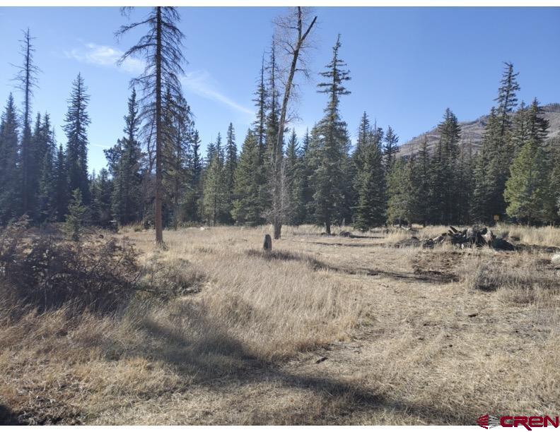 Lot 75 Ponderosa Homes Road Bayfield, CO 81122 - Photo 1 of 6 a view of a snow in the yard
