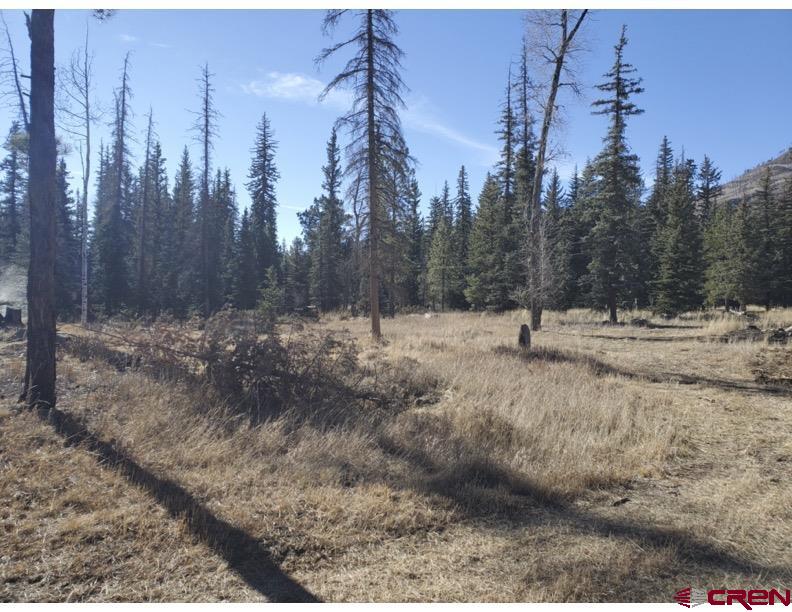 Lot 75 Ponderosa Homes Road Bayfield, CO 81122 - Photo 2 of 6