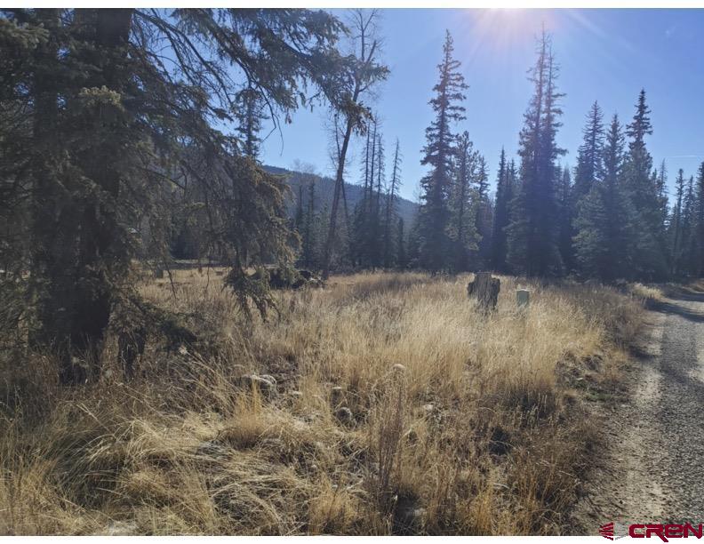 Lot 75 Ponderosa Homes Road Bayfield, CO 81122 - Photo 5 of 6 a view of patio with trees