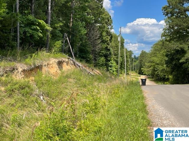 9320 Cedar Hill Road, Unit ONE Warrior, AL 35180 - Photo 2 of 7