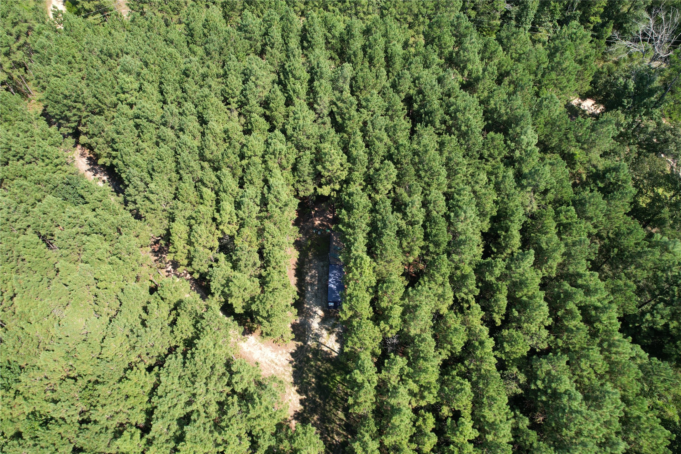 686 Private Road 5102 Kennard, TX 75847 - Photo 15 of 22