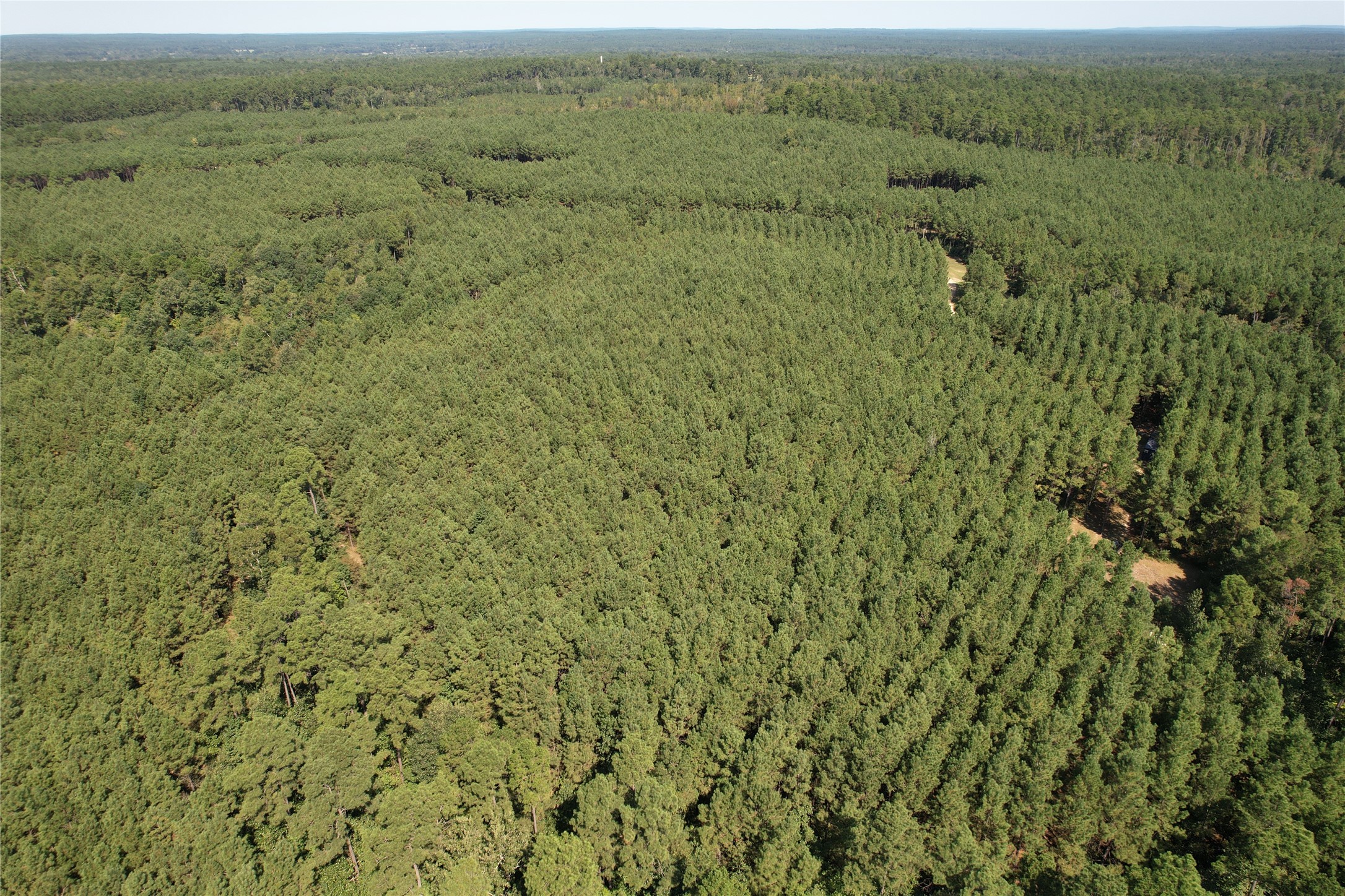 686 Private Road 5102 Kennard, TX 75847 - Photo 16 of 22