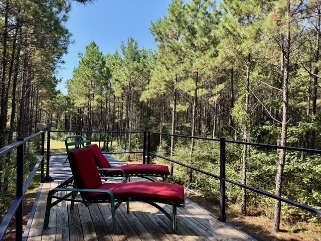 686 Private Road 5102 Kennard, TX 75847 - Photo 10 of 22