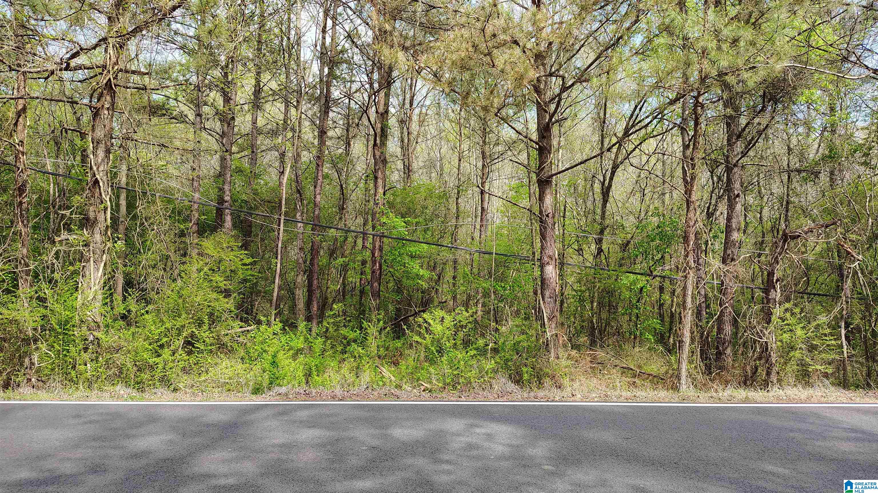 0 Glennwood Road, Unit 3 Morris, AL 35116 - Photo 3 of 25