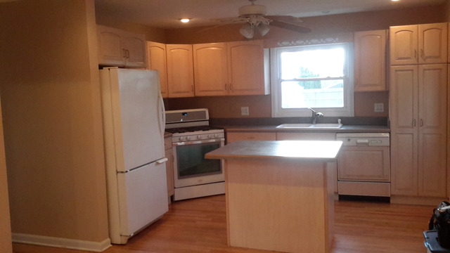 212 Village Road Willowbrook, IL 60527 - Photo 4 of 12