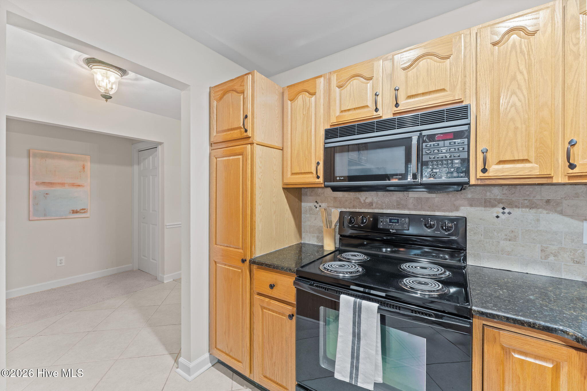 227 Knoll Road Southern Pines, NC 28387 - Photo 14 of 43 7-web-or-mls-DSC01483