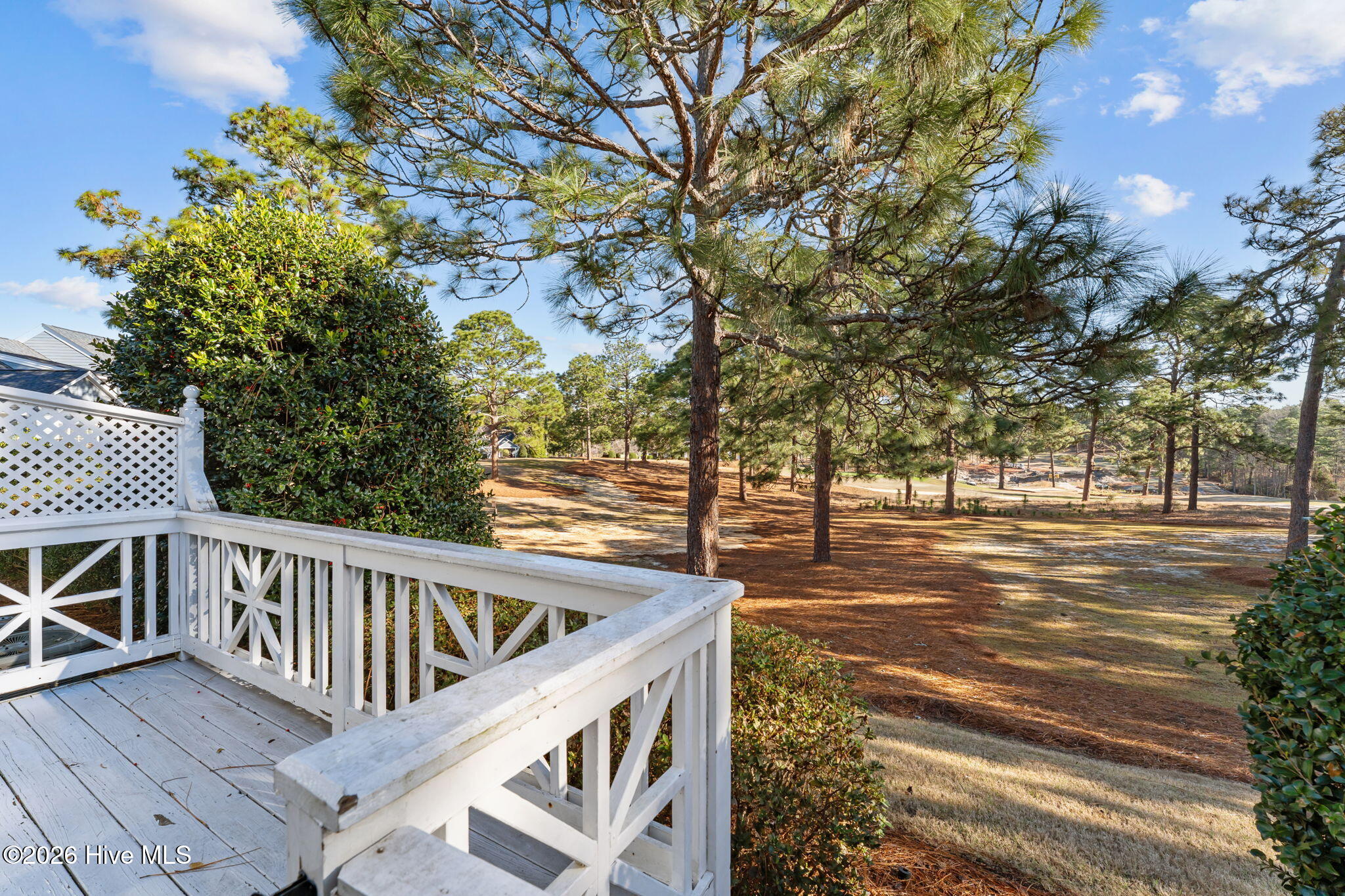227 Knoll Road Southern Pines, NC 28387 - Photo 40 of 43 43-web-or-mls-DSC01603