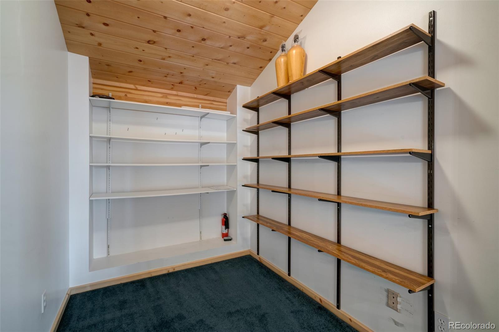 60555 Floyd Creek Road Clark, CO 80428 - Photo 25 of 31 Gallery Image 25