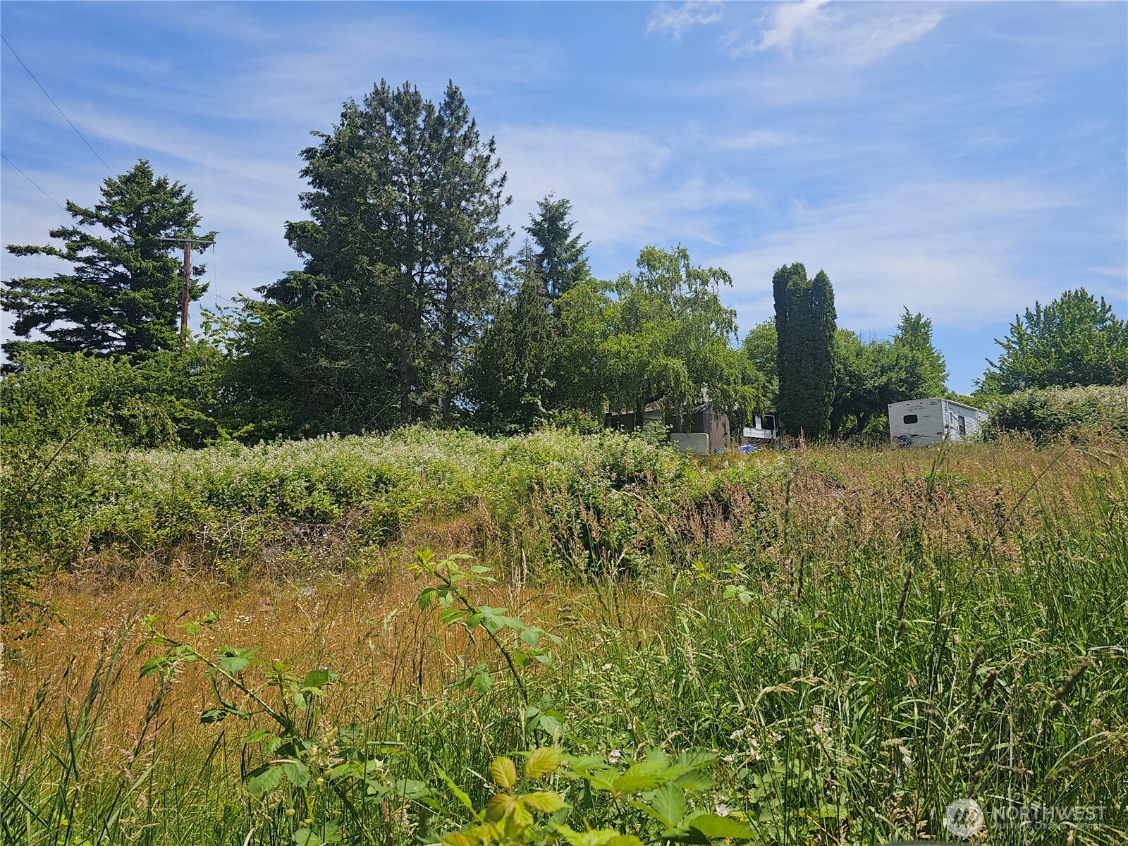 5390 Highway 12 Elma, WA 98541 - Photo 11 of 12 a view of a garden with trees in the background
