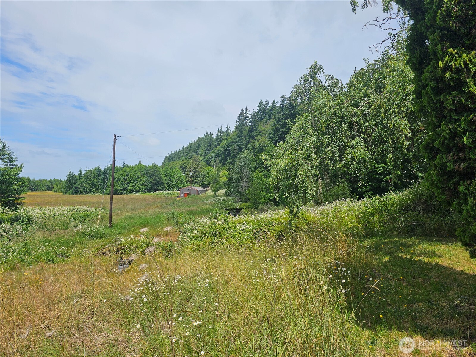5390 Highway 12 Elma, WA 98541 - Photo 12 of 12 a view of a green field with wooden fence