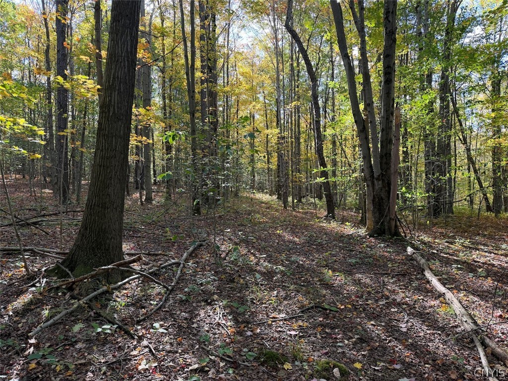 Hooker Hill Road Gowanda, NY 14070 - Photo 24 of 37 Gallery Image 24