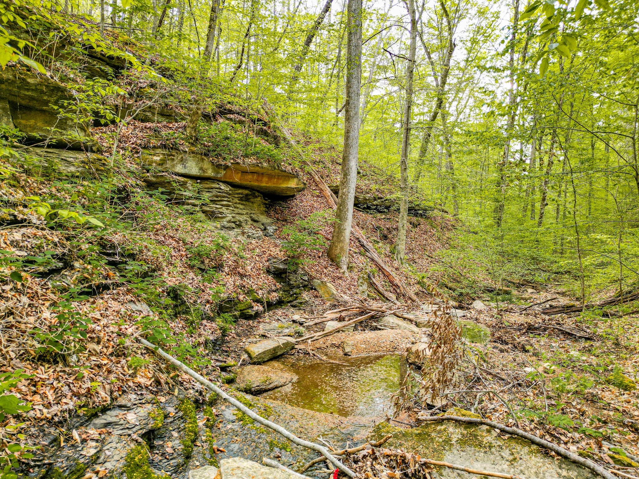 920 Mason Bates Bend Road Centerville, TN 37033 - Photo 48 of 82 Gallery Image 48