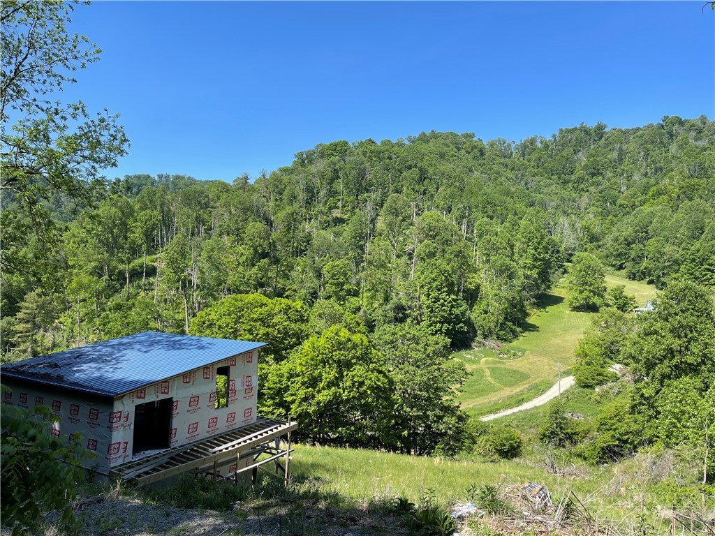George's Gap Road Vilas, NC 28692 - Photo 18 of 18