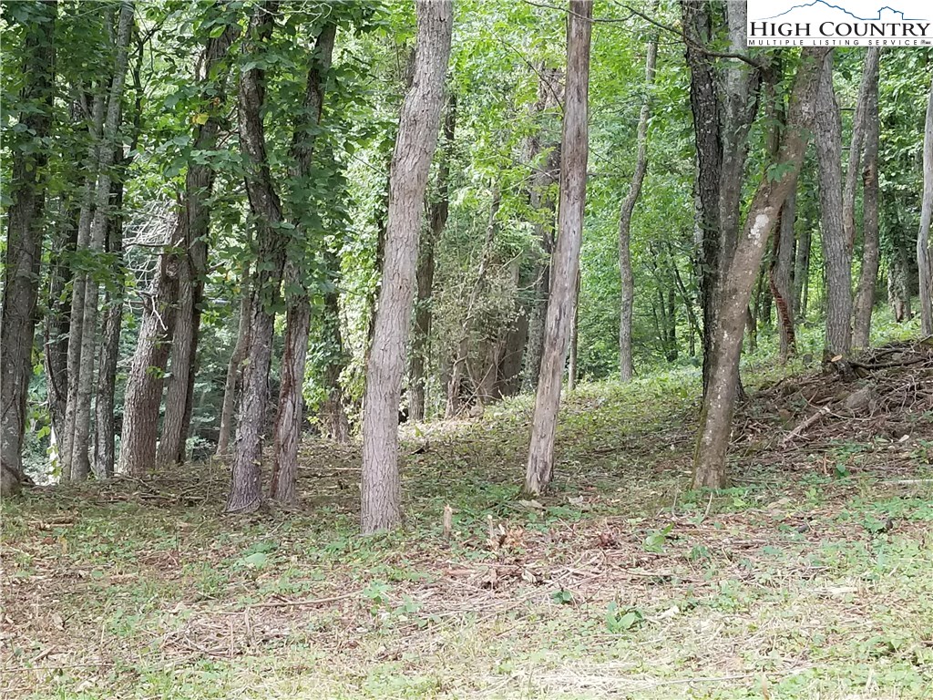 630-632 Junaluska Road Boone, NC 28607 - Photo 6 of 9 Gallery Image 6