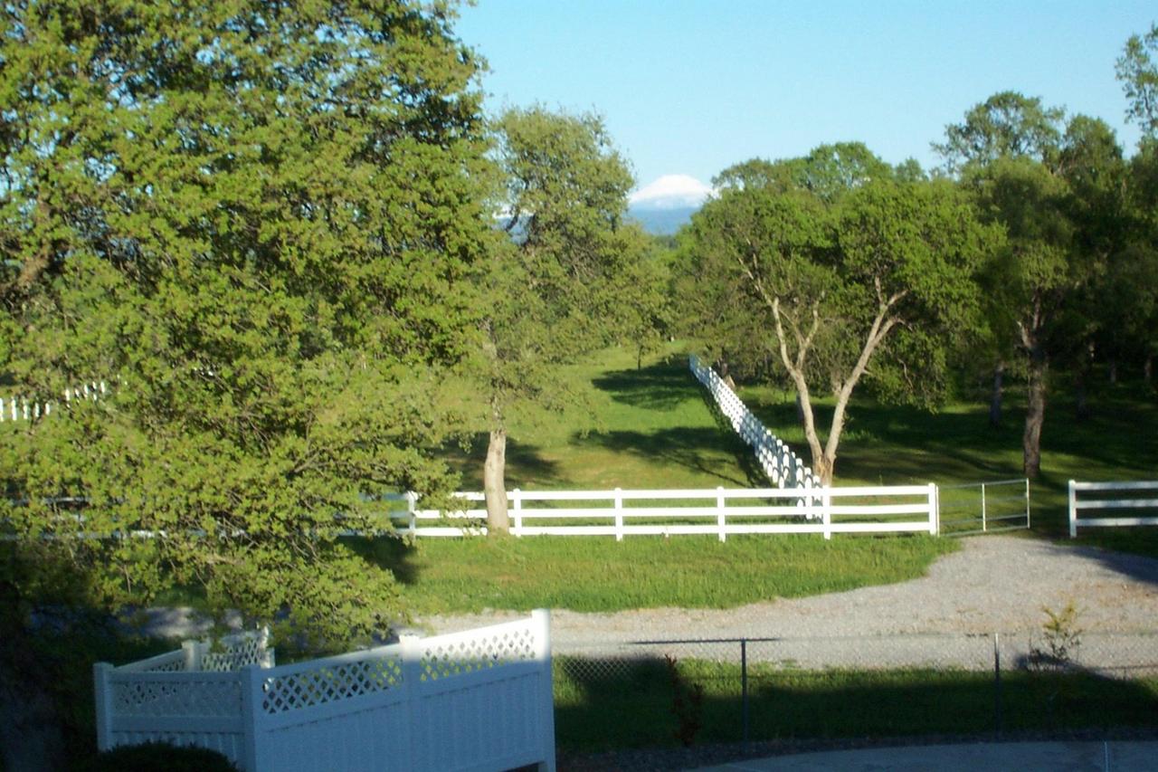 7917 Silver Bridge Road Palo Cedro, CA 96073 - Photo 4 of 6 lassen view