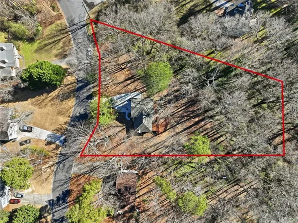 a small garden covered with tall trees