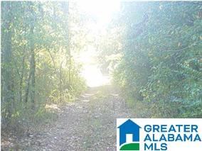 0 Old Coldwater Road, Unit 6 19 Anniston, AL 36201 - Photo 2 of 2