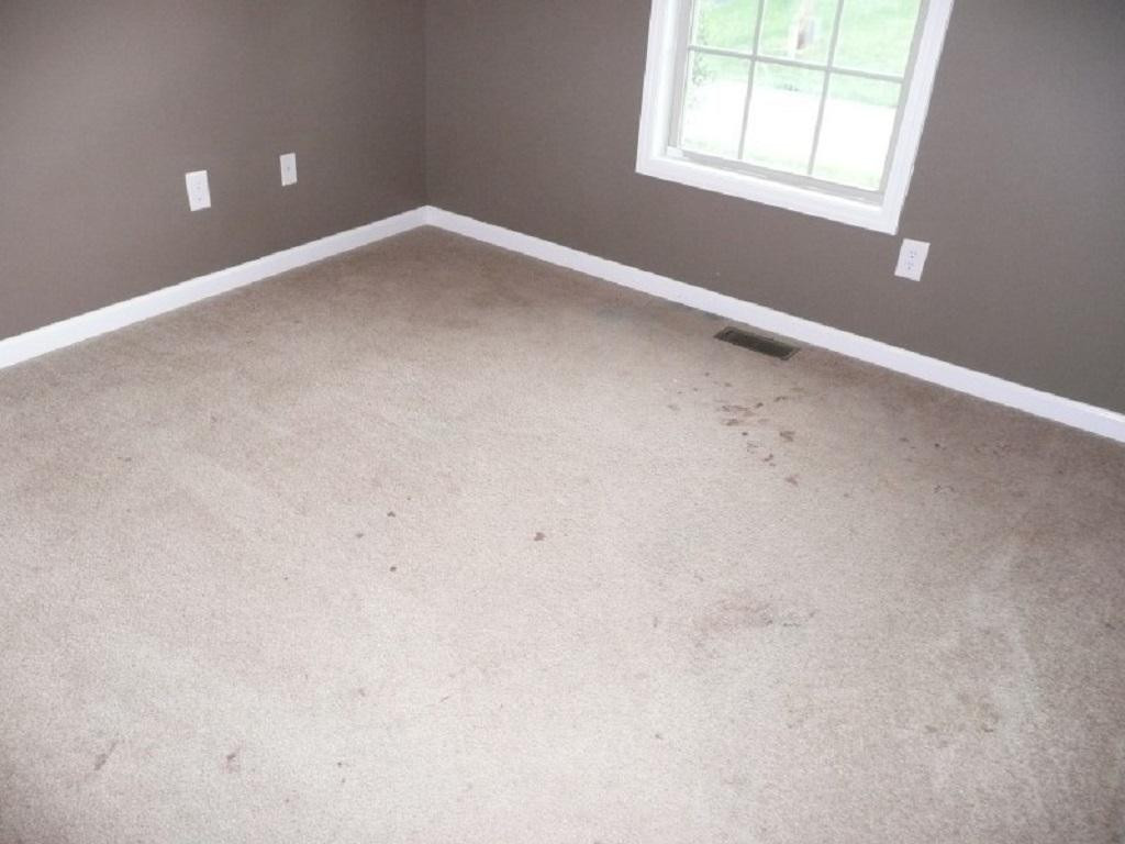 219 New Hope Road Jonesborough, TN 37659 - Photo 8 of 11 Photo 8