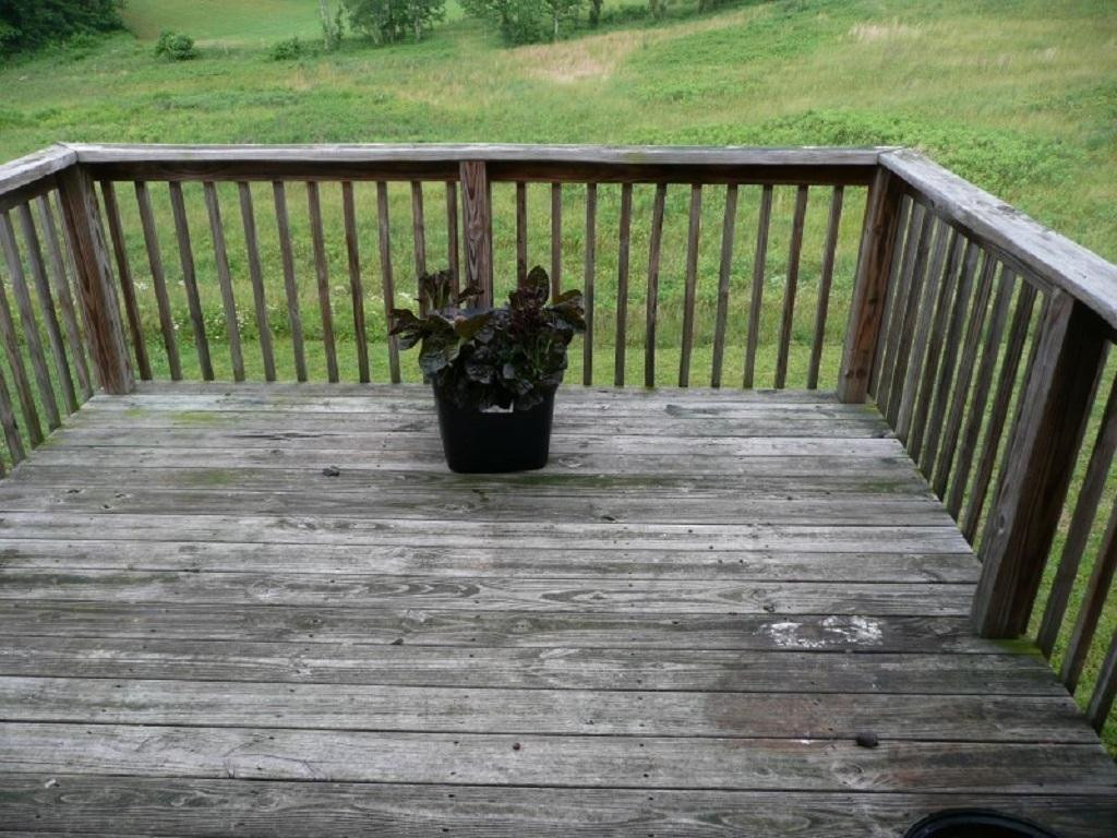 219 New Hope Road Jonesborough, TN 37659 - Photo 10 of 11 Photo 10