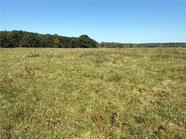 $2,665,000 | 725 South S Road, Stockton, MO 65785